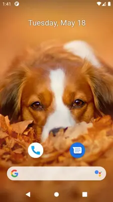 Cute Dog Wallpaper android App screenshot 1