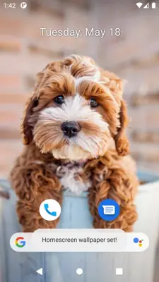 Cute Dog Wallpaper android App screenshot 3