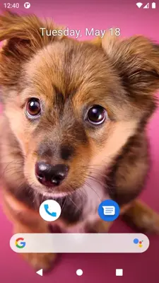 Cute Dog Wallpaper android App screenshot 4