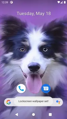 Cute Dog Wallpaper android App screenshot 5