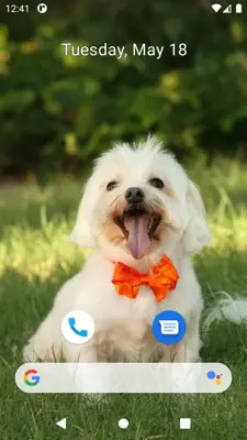 Cute Dog Wallpaper android App screenshot 6